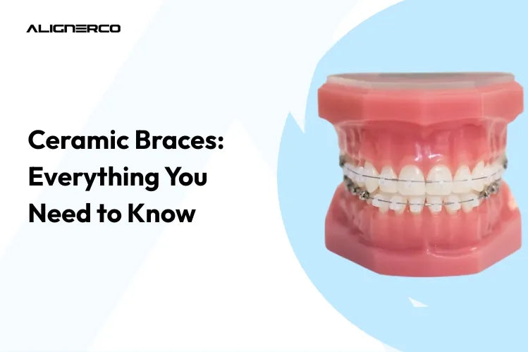 Keramik-Brackets auf einem Zahnmodell